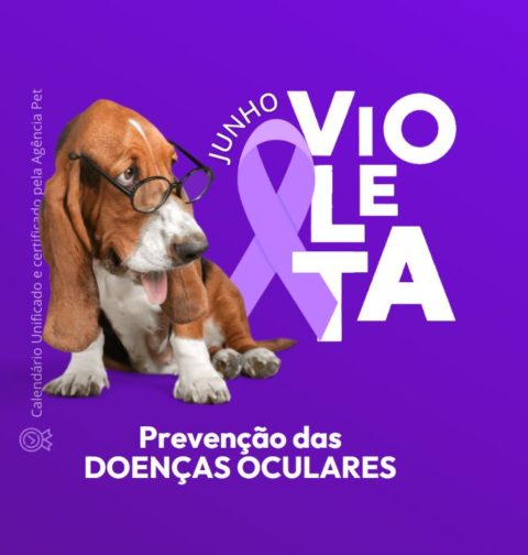 junho violeta pet