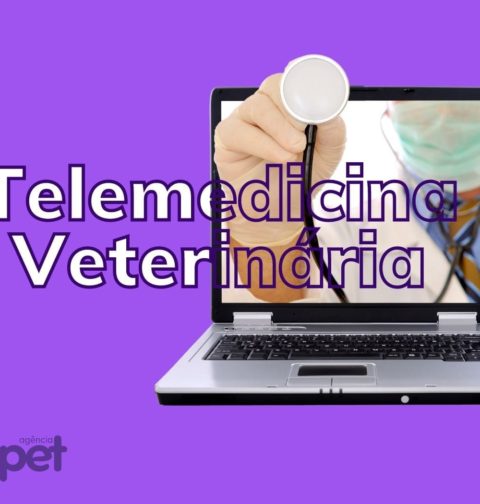 telemedicina veterinária