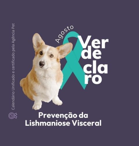Agosto Verde claro prevenção leishmaniose visceral
