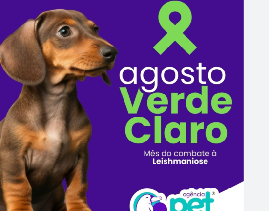 Agosto verde claro