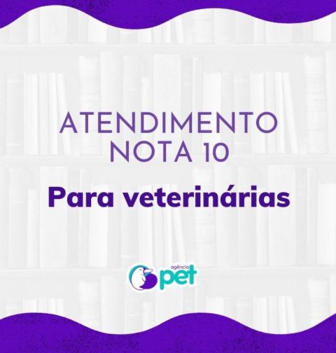 atendimento veterinário
