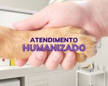 atendimento veterinário humanizado