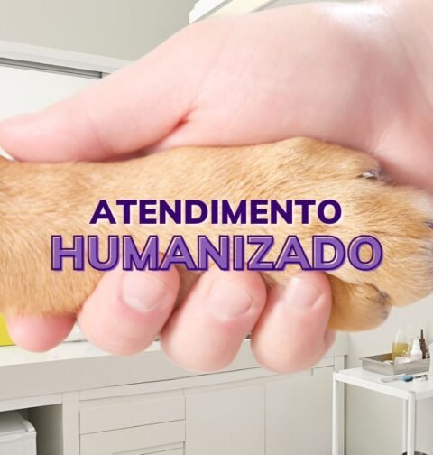 atendimento veterinário humanizado