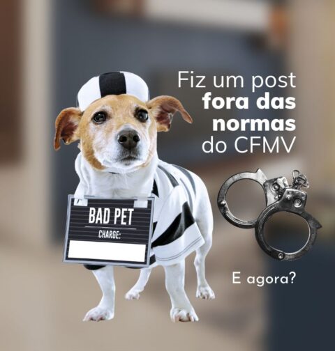 Marketing Veterinário