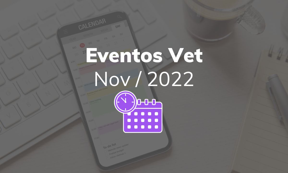 Eventos de Novembro de 2022