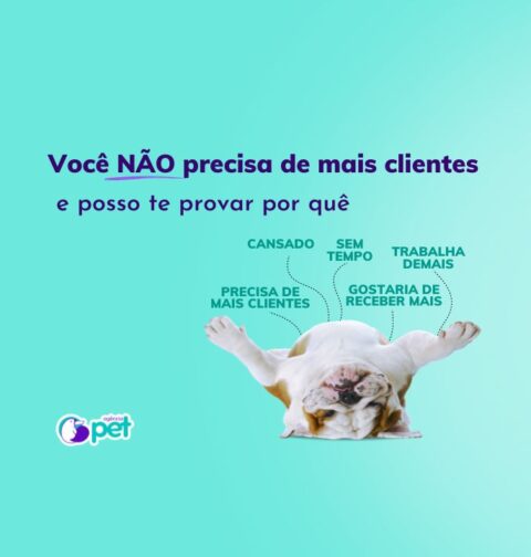 Você não precisa de mais clientes - Agência Pet