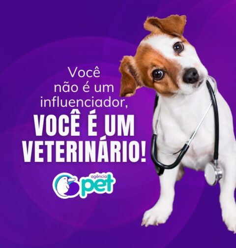 Influencer não é veterinário