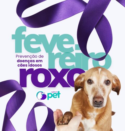 Fevereiro Roxo Pet