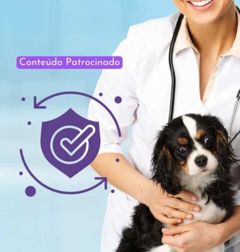 Seguro Veterinário