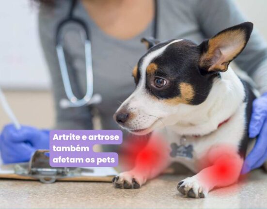 artrite e artrose em pets