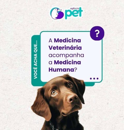 Medicina Humana x Veterinária