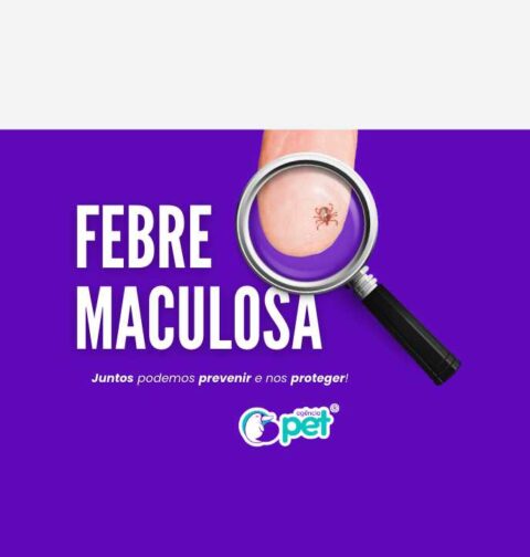 febre maculosa
