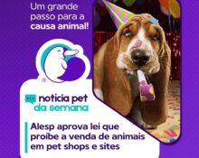 vitória da causa animal