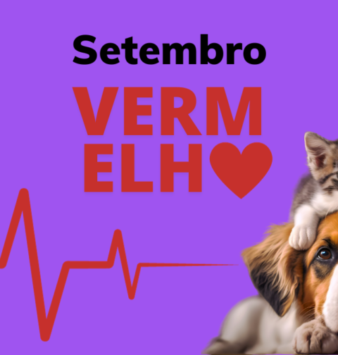 setembro vermelho