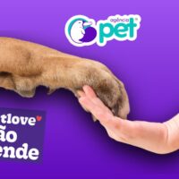 A Agência Pet apoia a nova campanha realizada pela empresa PetLove e também acredita que esses itens deveriam ser proibidos em prol ao bem estar animal.